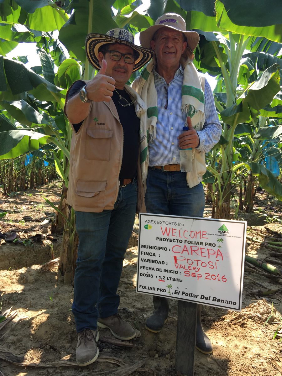 foliarPRO field photo